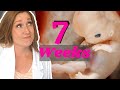 Week 7 of pregnancy plus general dos and donts during pregnancy