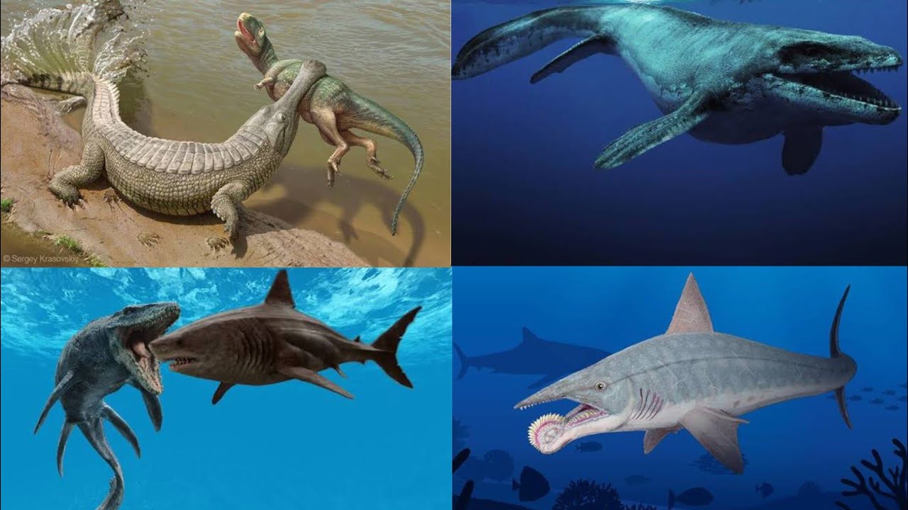 Ocean Monsters Size Comparison | Megalodon vs Mosassaurus vs Basilosaurus vs Sarcosuchus