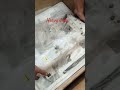 heavy duty turpai wali machine #tips #youtube
