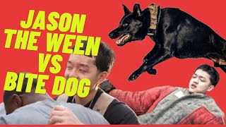Jason The Ween Meets A Protection Dog (Gone Wrong) by Iron Sharp K9  1,177 views 7 hours ago 17 minutes
