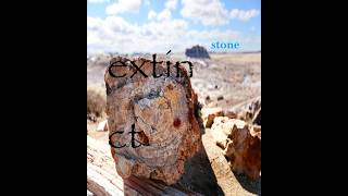Stone -Extinct (Full Album)