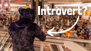 Can Introverts SURVIVE in The Furry Fandom?