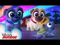 Bingo and Rolly Save the Sea Turtles 🐢| Puppy Dog Pals | Disney Junior