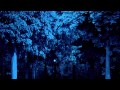 Jess Moskaluke - Everything Falls - Official Lyric Video