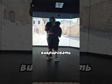 Играют в зале проекционной стрельбы 😁