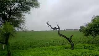 0kkkmkk@🇮🇳🙏##(09?(SAk novel kmm#song #@8545sangeeta vlogs kkKo