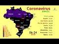 Over 1 Million Cases: The Spread of Coronavirus (COVID-19) in Brazil since the First Case