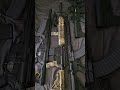 Deeper look into currently present ar 15s