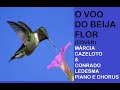 O VOO DO BEIJA FLOR- COVER DE PRANA MANTRAS (Elisa Cristal )