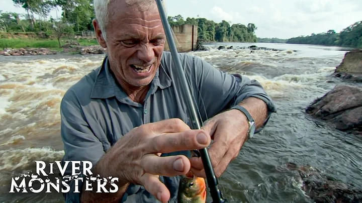 Jeremy Wade’s Most BRUTAL INJURIES on River Monsters
