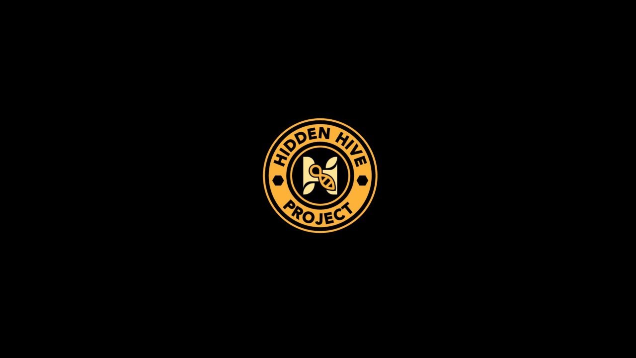 Episode 6- Stung for the First Time 😅🐝 |Trust the Bees, Not the Gloves.