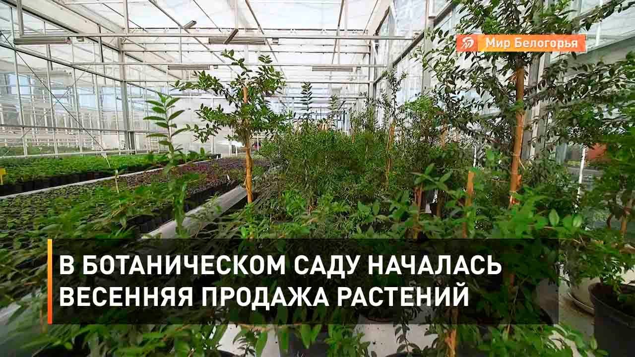 Фото Сад На Продажу