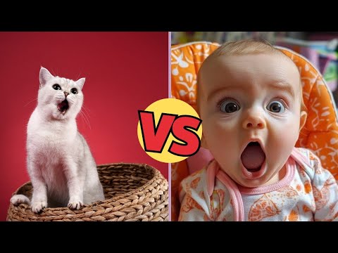 Babies & Cats: The Funniest Team You Never Expected 👶🏻👧🏻 😺🐈