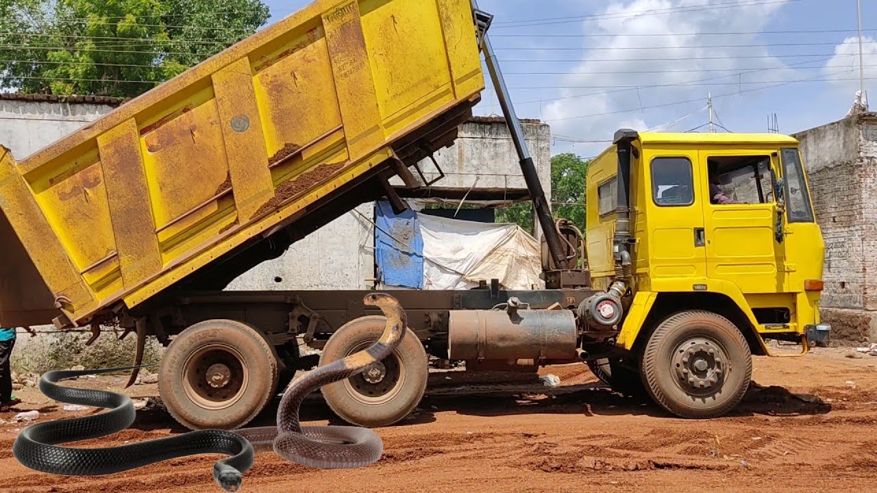 dump truck dump truck emptying sand truck toys for kids truck video YouTube
