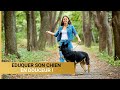 Duquer son chien en douceur avec canibest