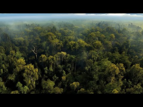 🌳 გარდაბნის აღკვეთილი | Gardabani Wildlife Refuge 🐇