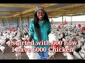 I STARTED WITH 600 CHICKEN NOW I HAVE 6000 CHICKEN