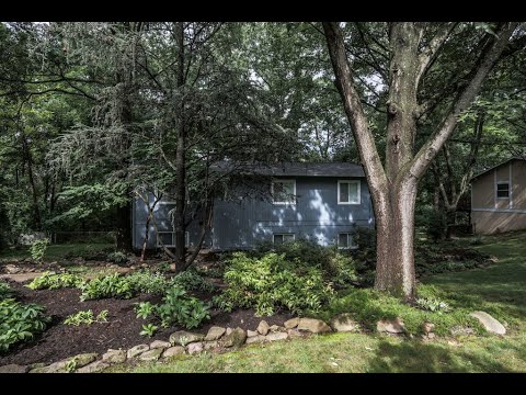 908 McDaniel Court, Herndon, VA home video tour