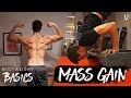 MASS GAIN TIPS | Bodyweight Basics Ep 12