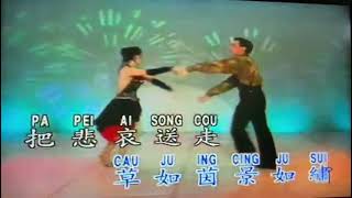 Wo Cai Ni Cuo Yu  ( 陳 世 珍 )