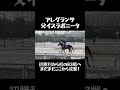 2026/0516/大井競馬・愛馬の追切　アレグランサ・ディアシンバ・レーヴレジェンド・ネダンツキマス