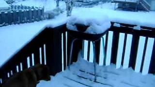 SnowVi 006.AVI