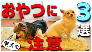 【要注意】老犬(シニア犬)におやつをあげる際 気をつけること3選