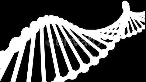 Dna | Motion Graphics - Envato elements