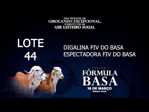 LOTE 44   BASA 1764   BASA 2092