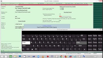 Tally Vault password recovery with capital letter option