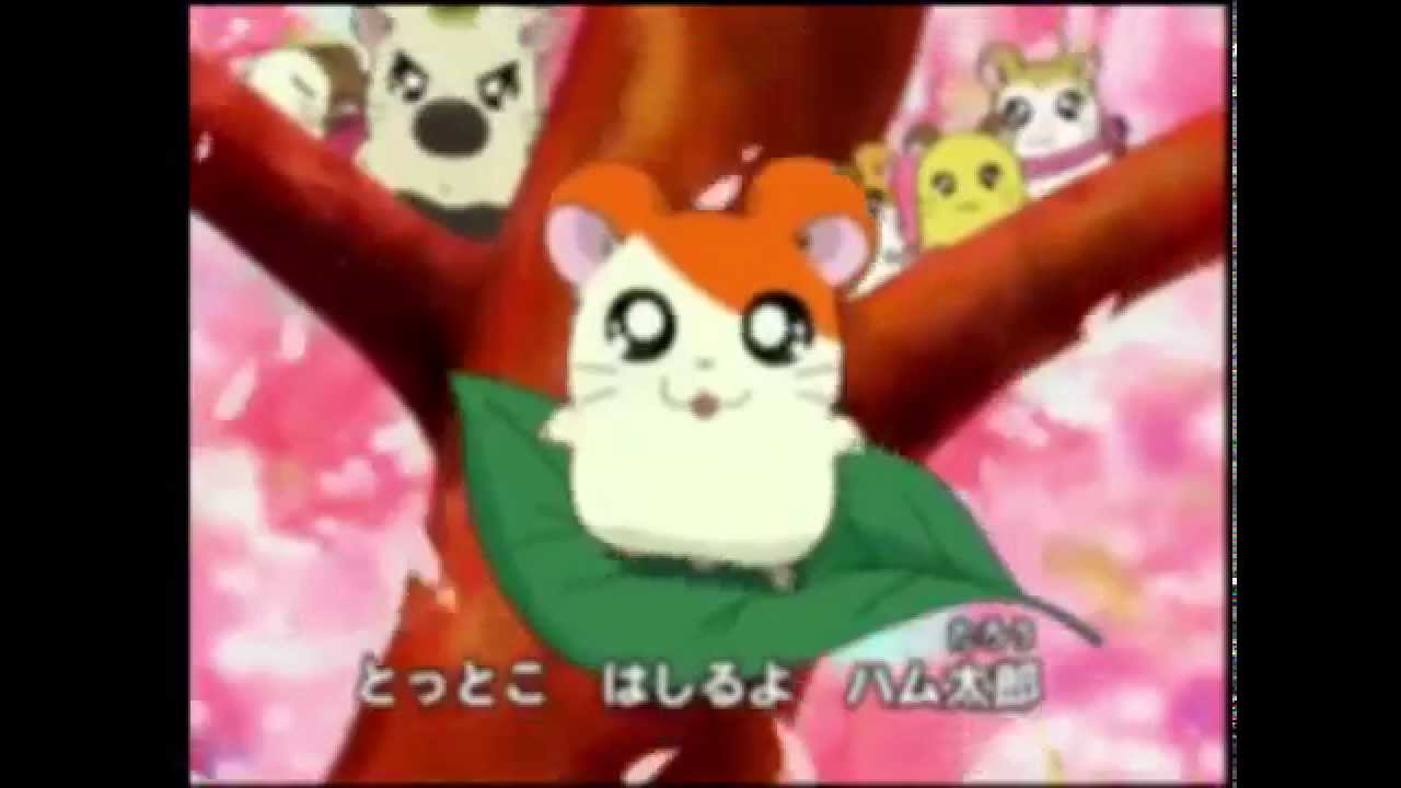 ハ と言ったら加速してしまう ハム太郎とっとこうた