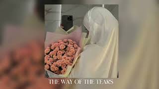 the way of the tears by muhammad al muqit ( vocals only) [speed up]
