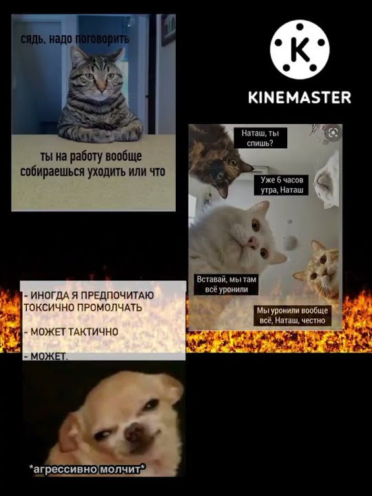 мемы #shorts #мемы - YouTube