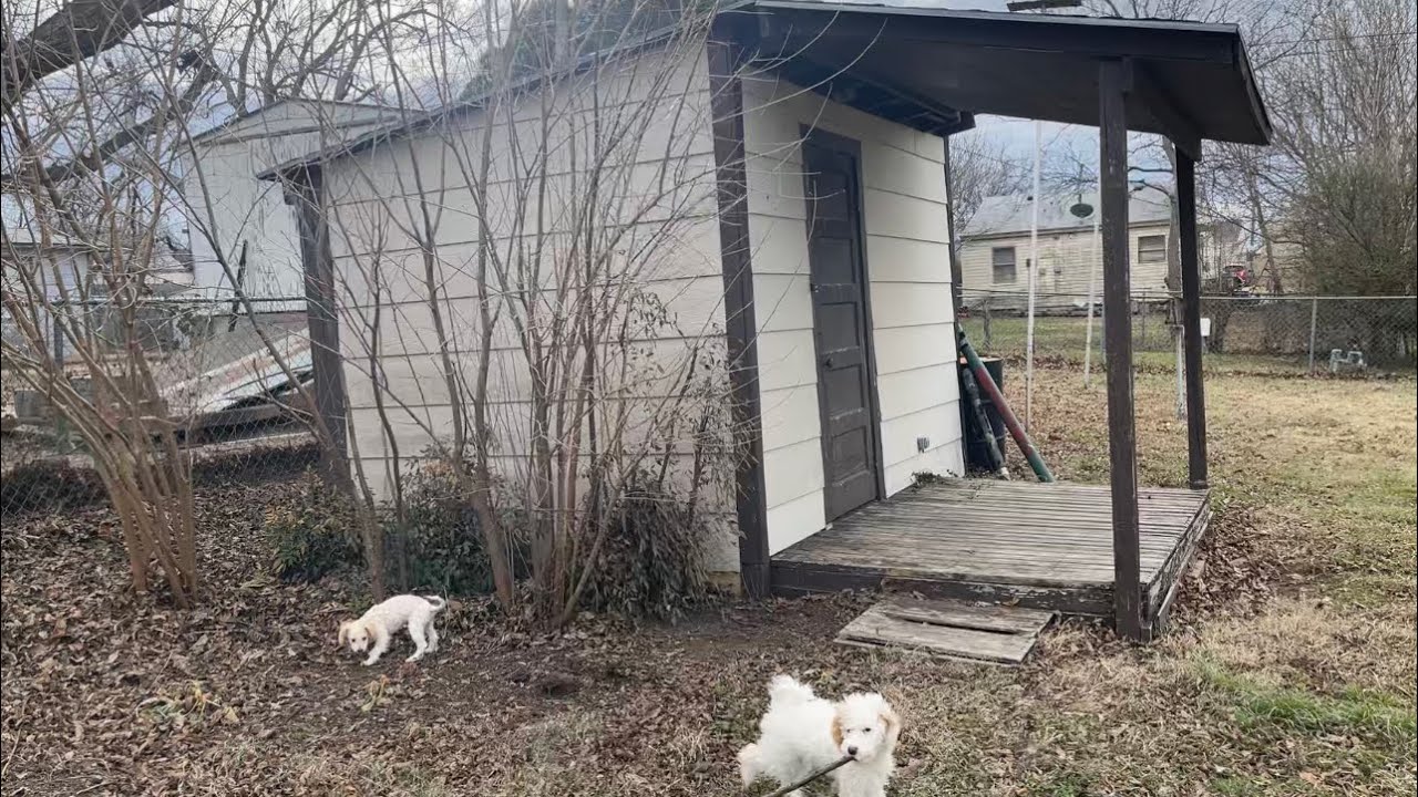 Future Tiny House Art Studio - YouTube