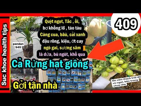 Video: Nhà Hát Với Vườn Cây ăn Quả