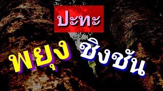 พยุงปะทะชิงชันต่างกันอย่างไร ep53