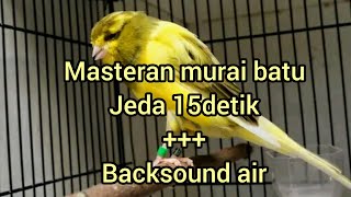 masteran kenari jeda 15detik backsound suara air