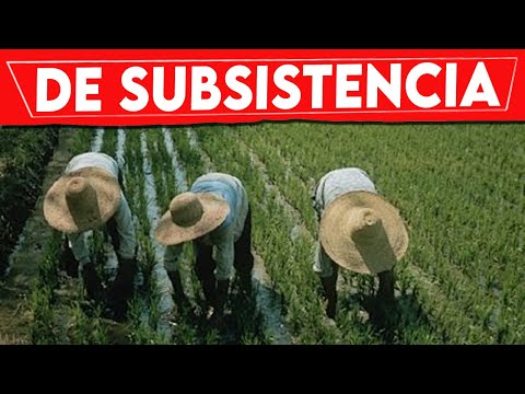 Video: ¿En la agricultura de subsistencia un agricultor?