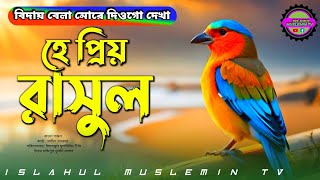 বিদায় বেলা মোরে দিওগো দেখা হে প্রিয় রাসূল। bangla gojol.  #islahul_muslemin_tv