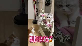 ふみふみ職人がいました笑