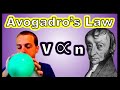Understanding Avogadro's Law