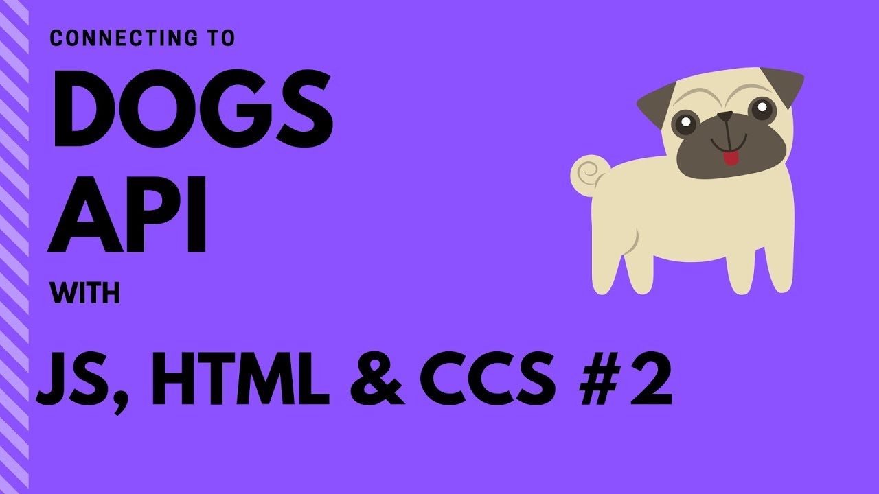 Connecting to the Dogs API #2 - Building select control - YouTube