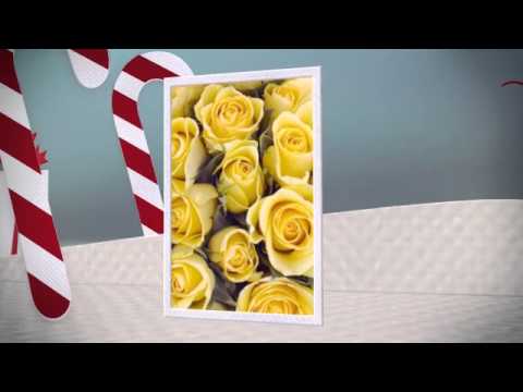 ყვავილები