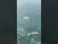 お久しぶりです😊エギング行ったら見え石鯛早いもので長女はもう高三、次女三女は中学生に🙀移住して本当に良かった‼️まみも自分も元気いっぱいです✨ショートで復活考えています🎣🍣