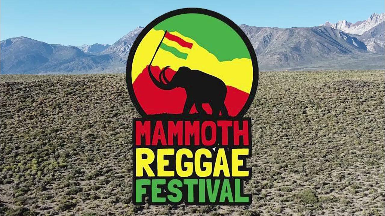 Mammoth Reggae Festival 2022 Music Mash Up YouTube