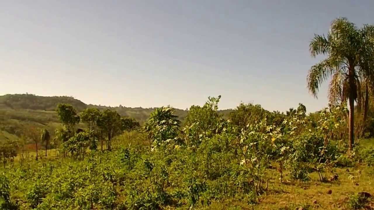 Аргентина, Провинция Мисионес тайные знания о деньгах