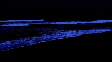 Relaxing ocean waves/ 24 Hours for deep sleep, ocean sounds on beach at night