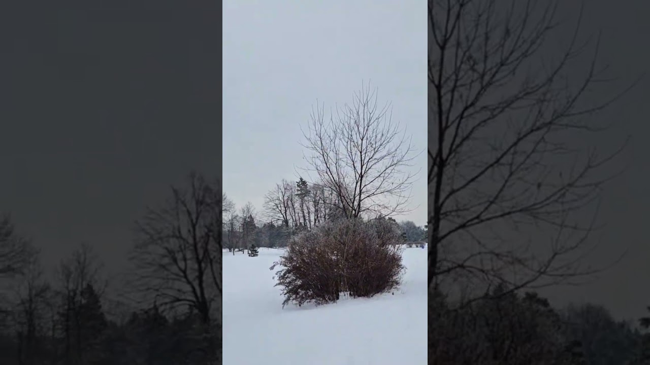 exploring nature in winter canada pt 8