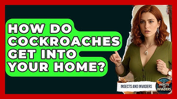 How Do Cockroaches Get Into Your Home? - Insects and Invaders