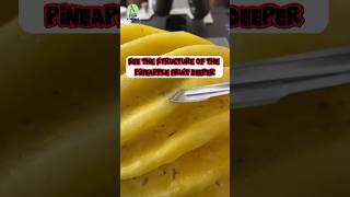 Zoom 1000x : see the structure of the pineapple fruit deeper #zoom1000x #shorts #experiment